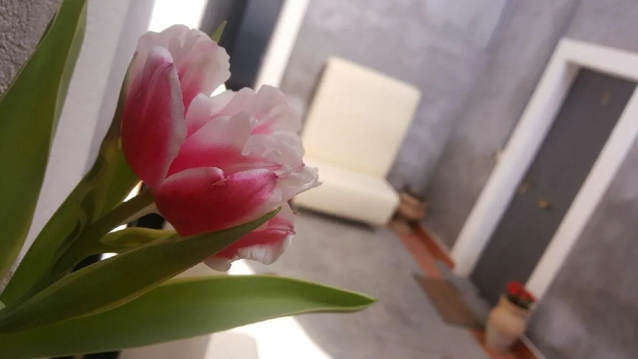 לינה וארוחת בוקר קטאניה I Cappuccini Rooms
